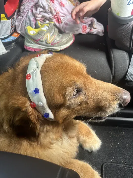 Britt Animal Hospital 12