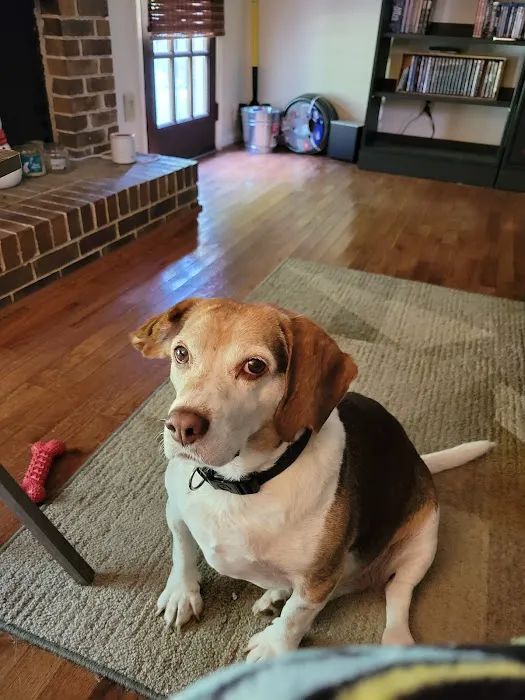 Cahaba Mountain Brook Animal Clinic 8