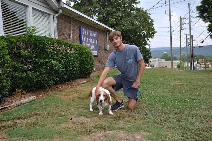 Oak View Animal Hospital 12