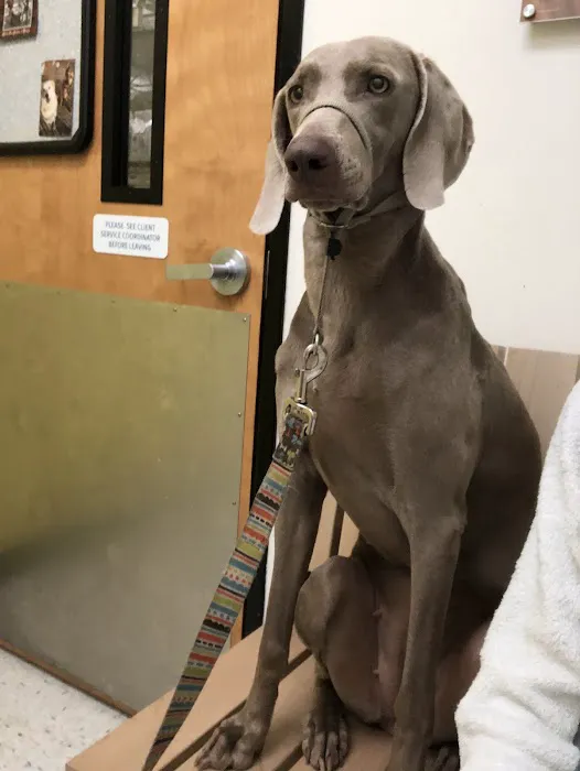 Banfield Pet Hospital 12