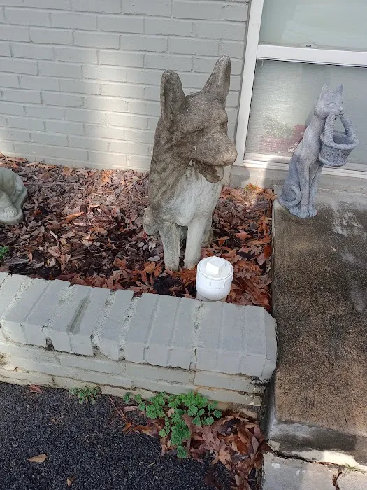 Galleria Animal Clinic 8