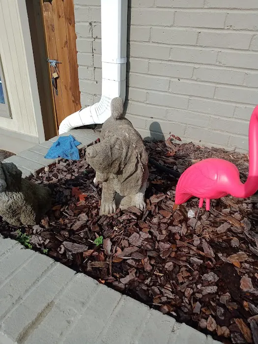 Galleria Animal Clinic 4