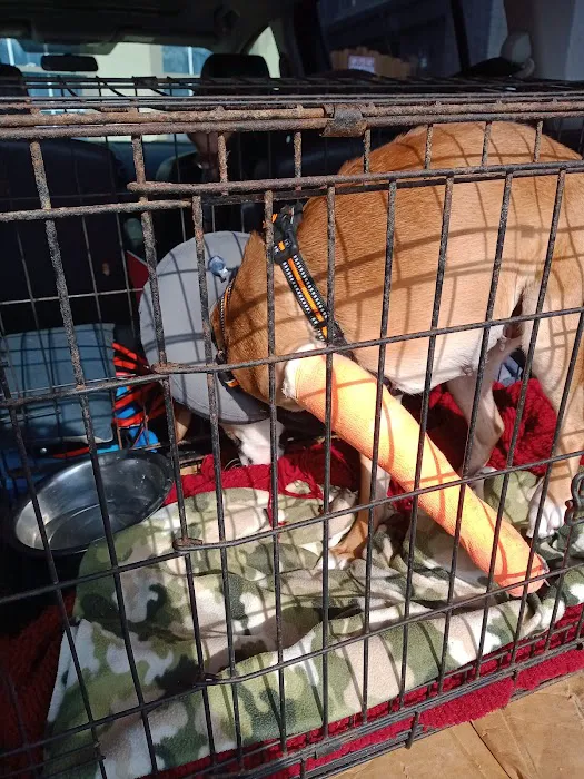 Galleria Animal Clinic 7