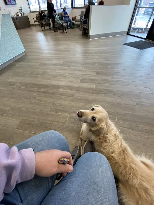 BluePearl Pet Hospital 4