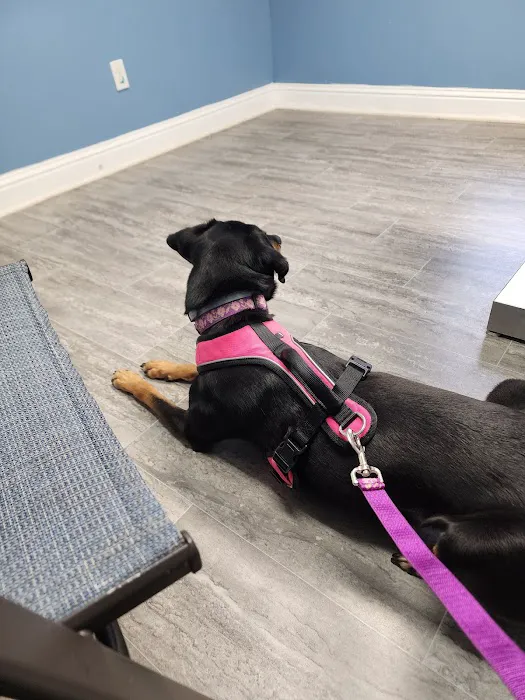 Pelham Animal Clinic 2