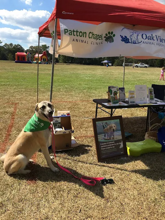 Patton Chapel Animal Clinic 10