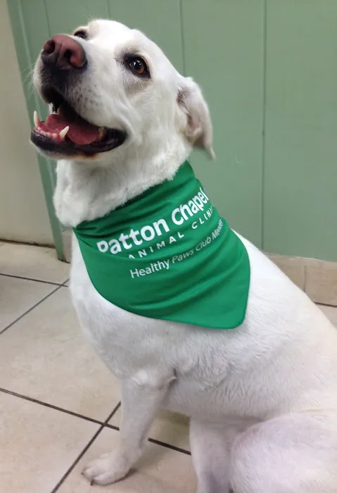 Patton Chapel Animal Clinic 5