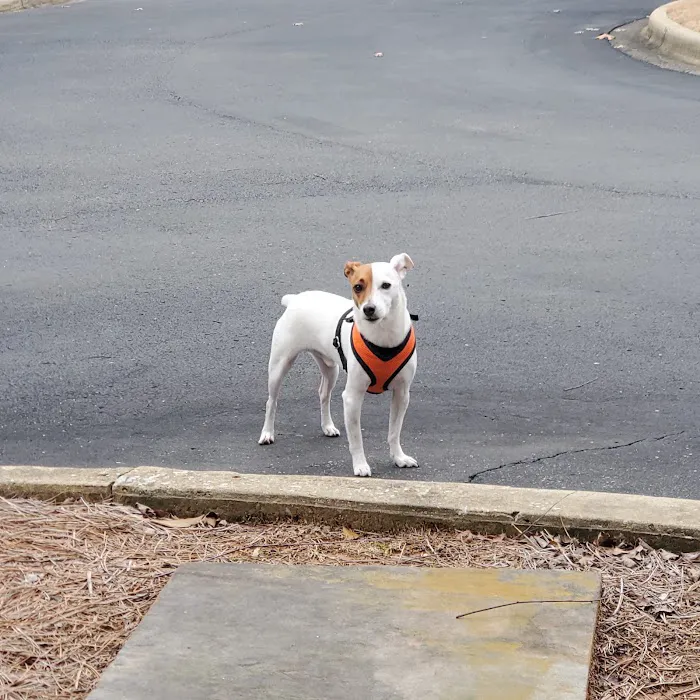 Patton Chapel Animal Clinic 8