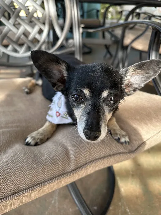 Pet Wellness Animal Hospital & Center 1