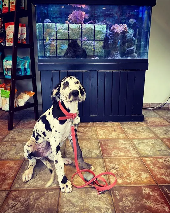 Pet Wellness Animal Hospital & Center 3