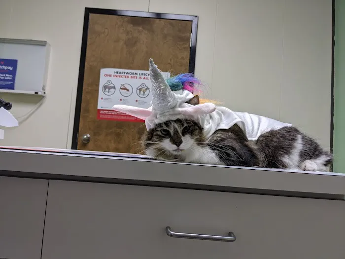 Griffin Animal Hospital 12