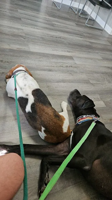 Five Points Animal Clinic 3