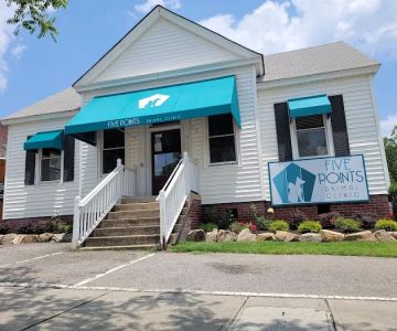 Five Points Animal Clinic