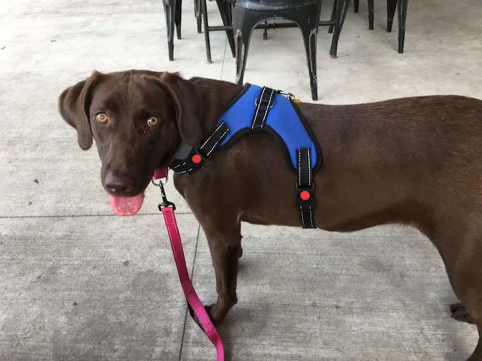 Five Points Animal Clinic 9
