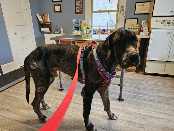 Rosewood Drive Animal Clinic 9