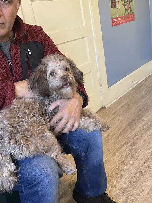 Rosewood Drive Animal Clinic 3