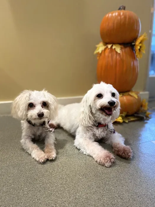 Cherokee Trail Veterinary Hospital 8