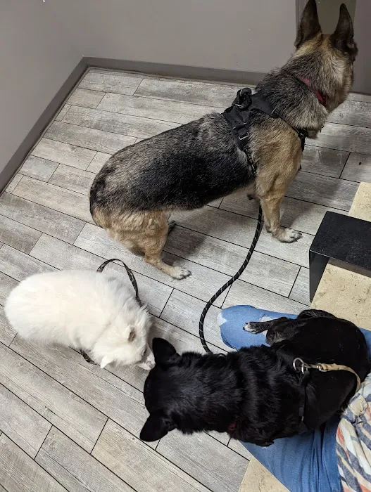 Millcreek Animal Hospital 2