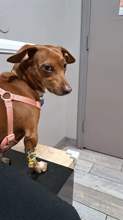 Millcreek Animal Hospital 3