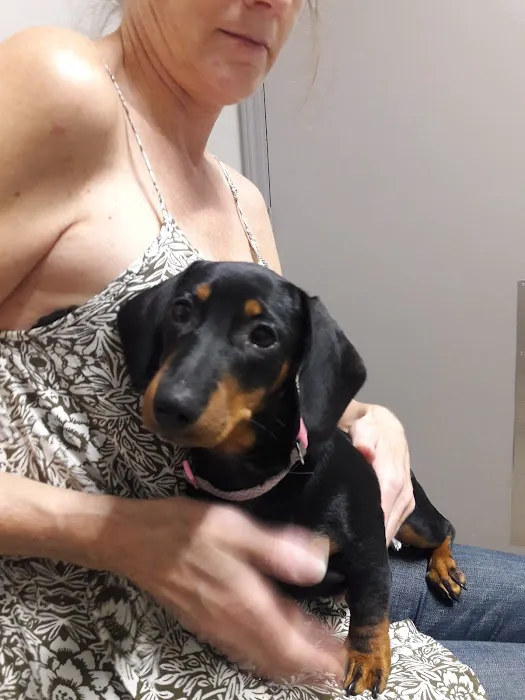 Millcreek Animal Hospital 6