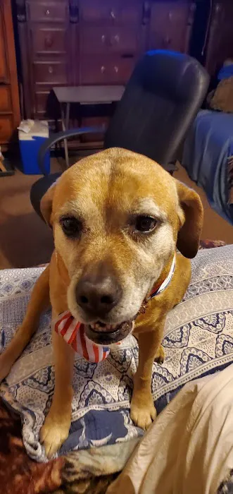 Millcreek Animal Hospital 4