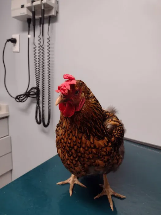 Lakeside Veterinary 12