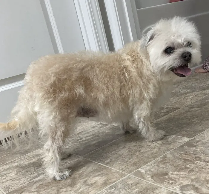 Lexington Animal Clinic 3
