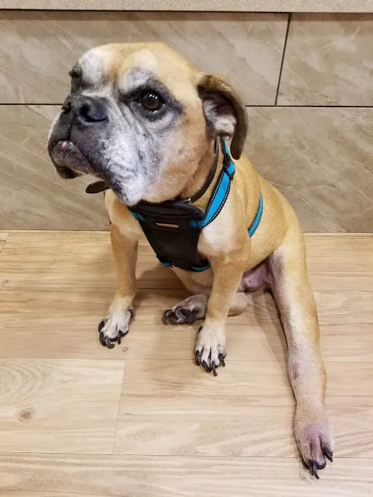 Lexington Animal Clinic 1