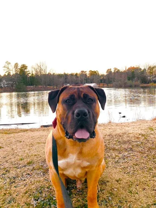 Lexington Animal Clinic 6