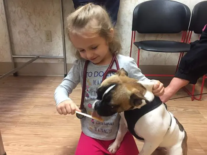 Lexington Animal Clinic 7