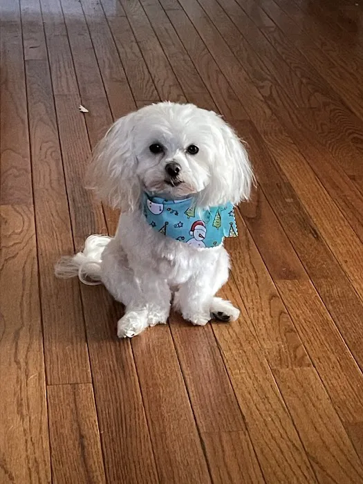 White Knoll Veterinary Hospital & Pet Resort LLC 2
