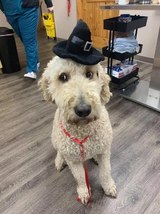 White Knoll Veterinary Hospital & Pet Resort LLC 3
