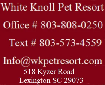 White Knoll Veterinary Hospital & Pet Resort LLC 1