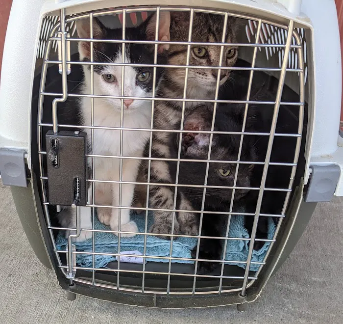 White Knoll Veterinary Hospital & Pet Resort LLC 7