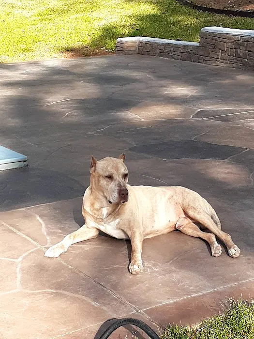 Vetco Total Care Animal Hospital 5