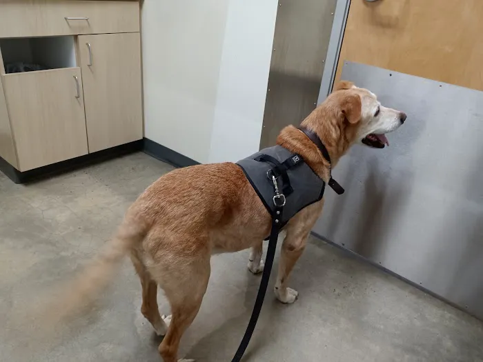 Vetco Total Care Animal Hospital 7