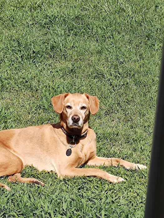 Banfield Pet Hospital 12