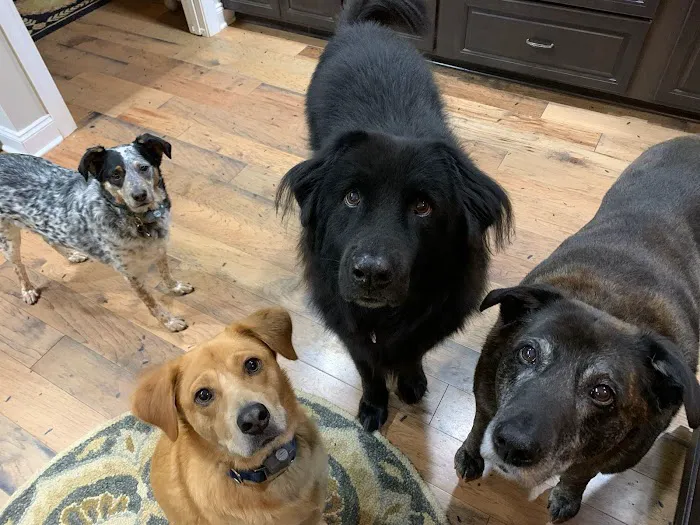 Banfield Pet Hospital 12