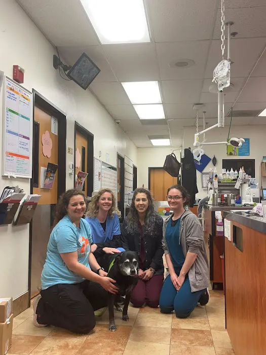 Banfield Pet Hospital 12