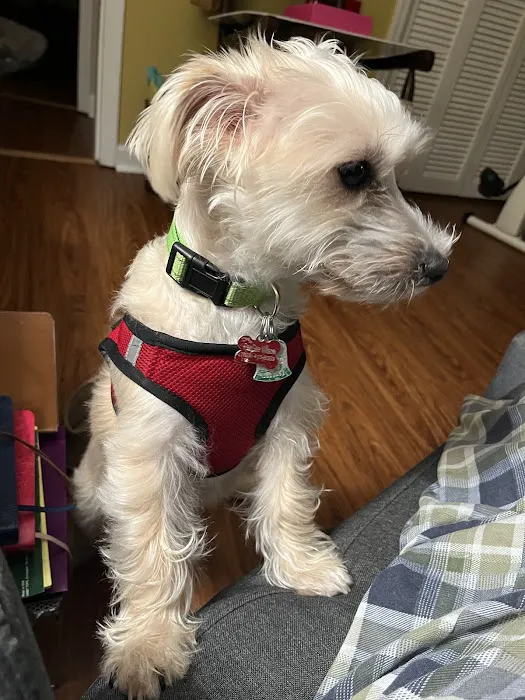 Banfield Pet Hospital 12