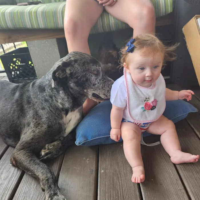 Gretna Veterinary Hospital 4