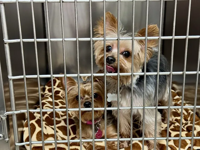 Gretna Veterinary Hospital 6