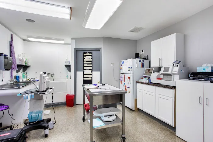 Paris Road Animal Hospital 5