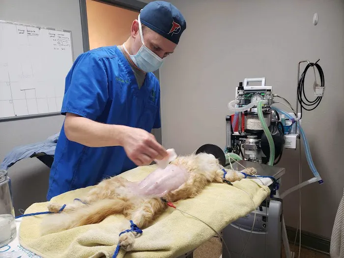 Paris Road Animal Hospital 2