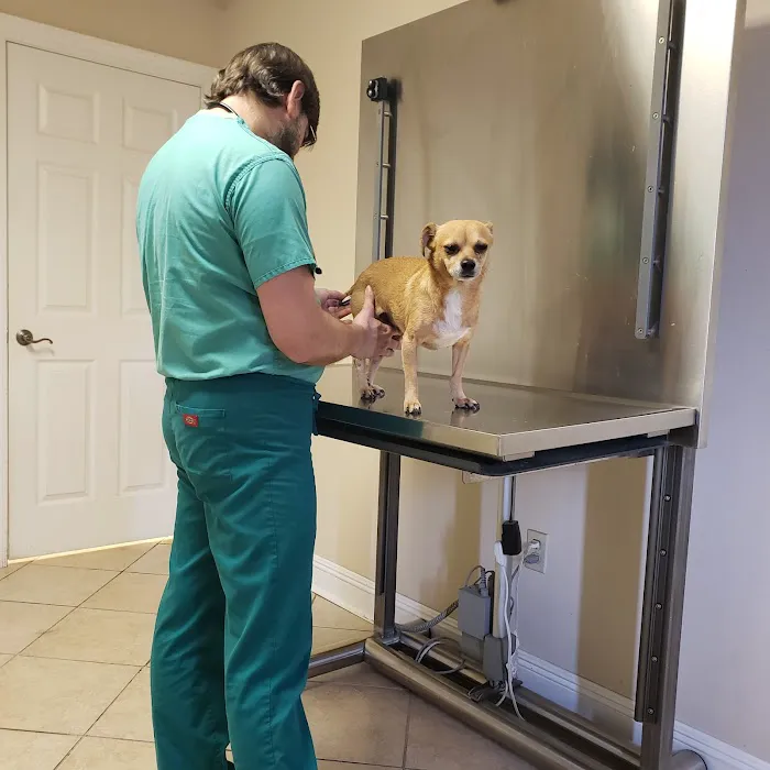 CHALMETTE PET WELLNESS 12