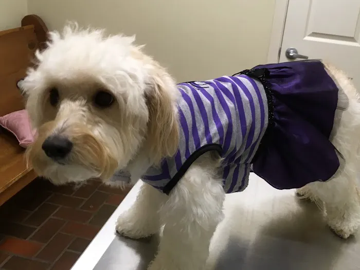Pet Care Center Chalmette 1