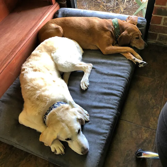 Pet Care Center Chalmette 2