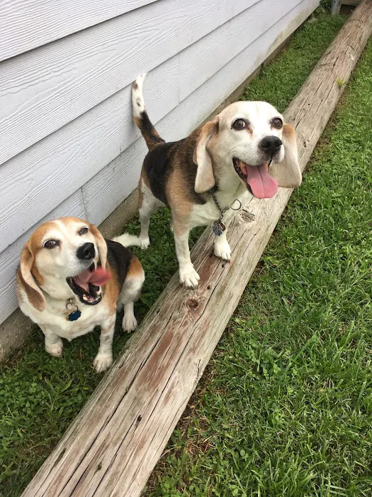 Pet Care Center Chalmette 9