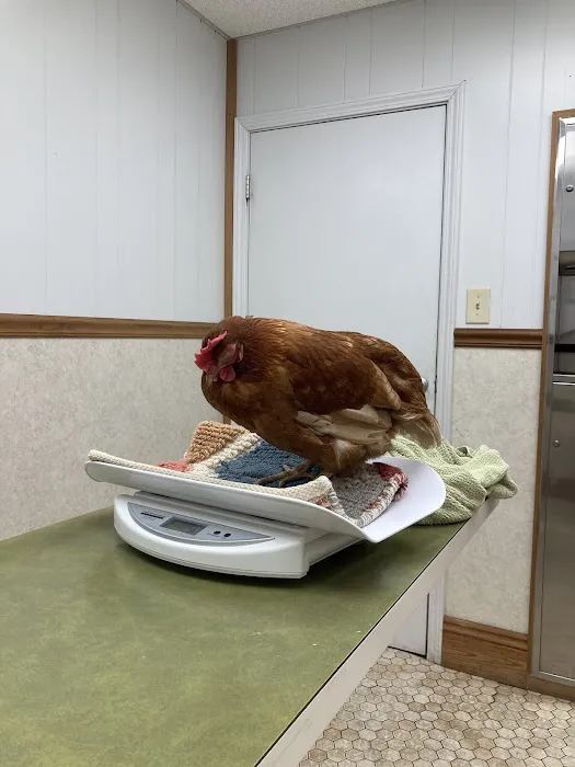Carrollton Veterinary Hospital 12