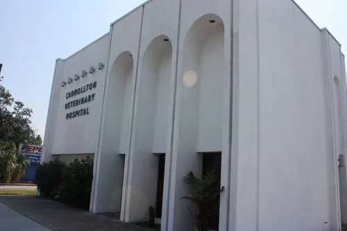 Carrollton Veterinary Hospital 12